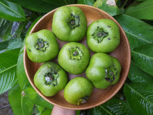 Load image into Gallery viewer, WS Black sapote
