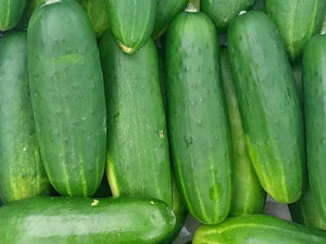 WS Cucumber/green