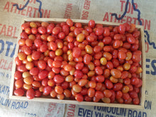 Load image into Gallery viewer, Tomatoes/grape - yellow &amp; red
