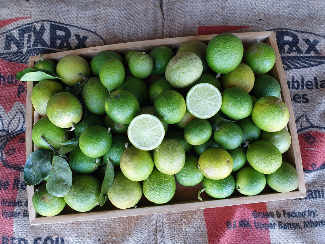 WS Limes/tahitian - spray free
