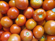 Load image into Gallery viewer, WS Tomatoes/Gourmet
