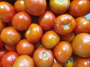 WS Tomatoes/Gourmet