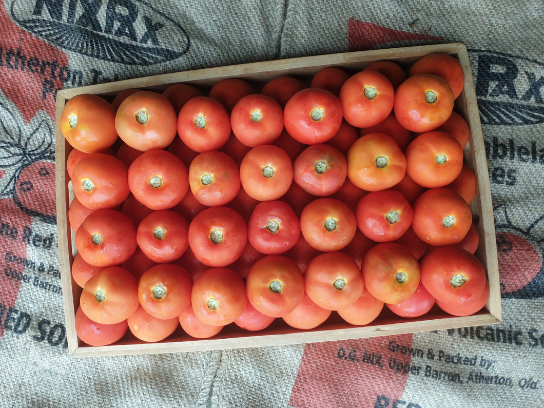 WS Tomatoes/Gourmet