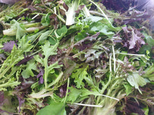 Load image into Gallery viewer, Salad/mesclun 200g- Spray free
