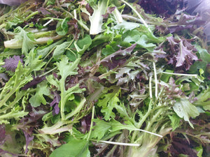 WS Salad/mesclun- Spray free