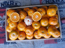 Load image into Gallery viewer, Mandarins/seedless

