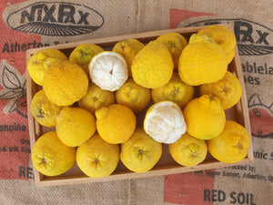 Lemons/sweet -spray free