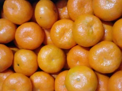 Mandarins (South)