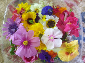 Edible flowers punnet - spray free