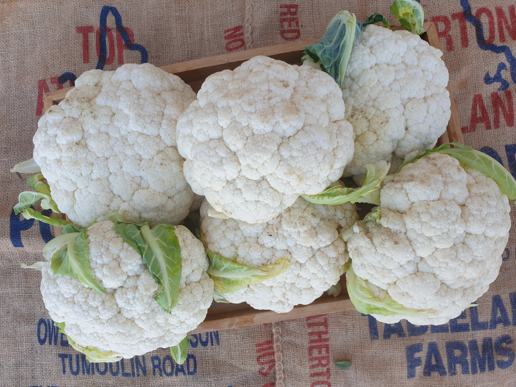 Cauliflower (SOUTH)