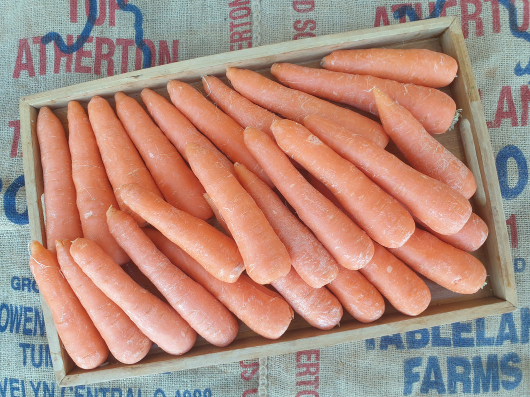 Carrots (South)