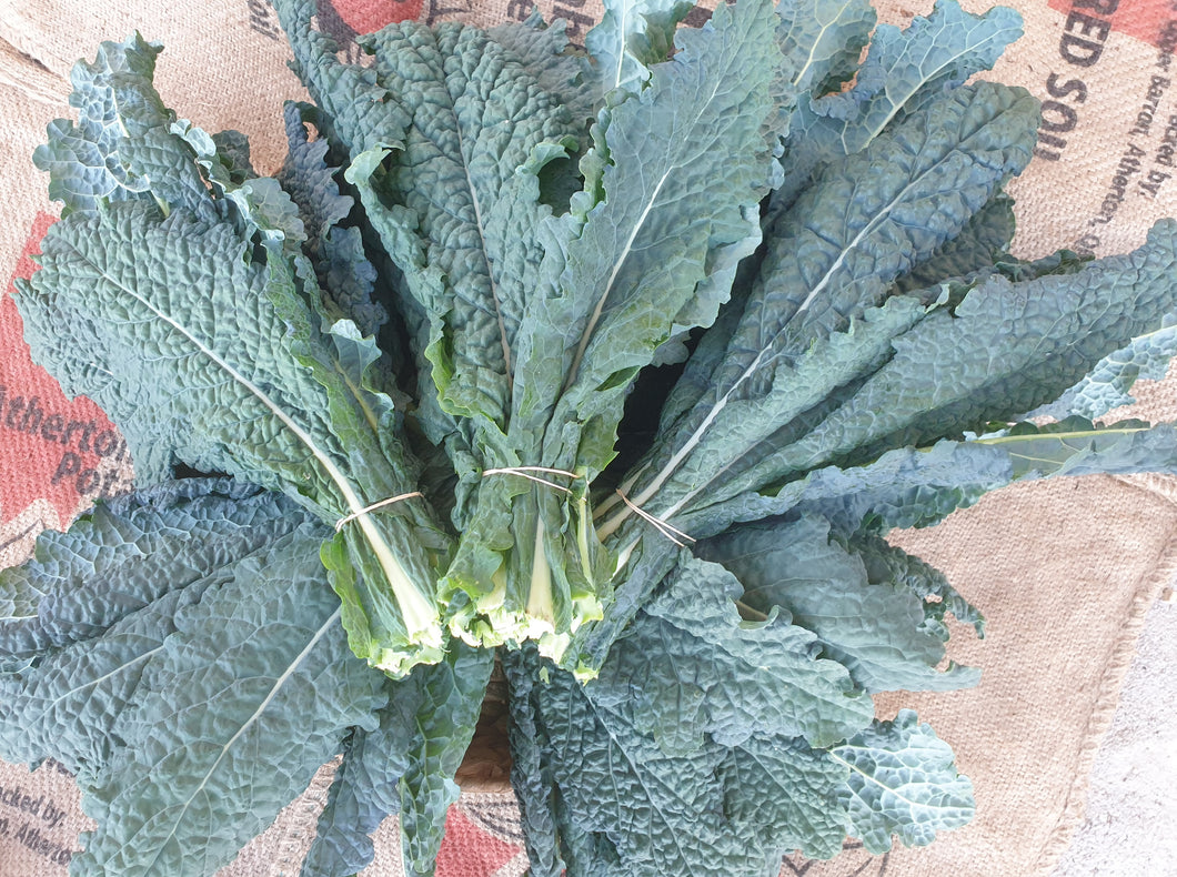 Kale/black tuscan
