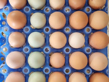 Load image into Gallery viewer, Eggs/free range 12pk
