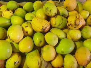 Mangoes - KP (Bowen) seconds