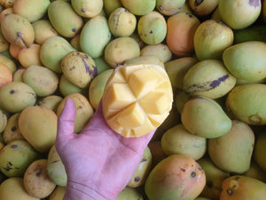 Mangoes - KP (Bowen) seconds