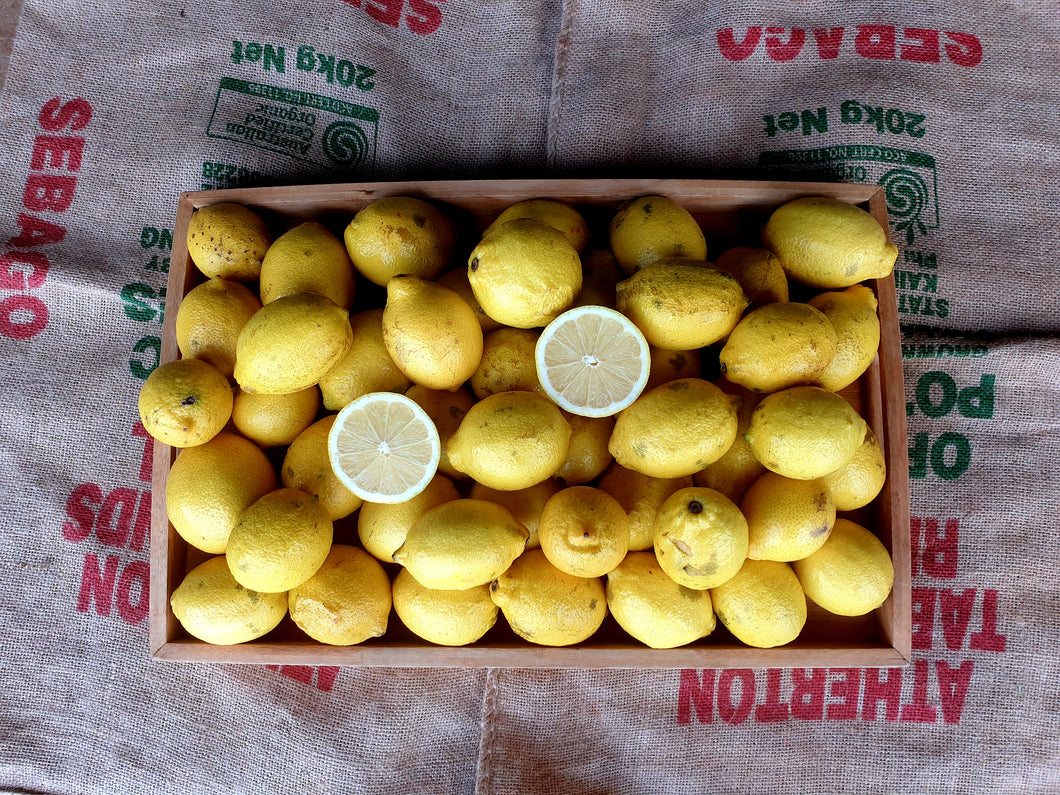 Lemons/eureka/seedless - seconds