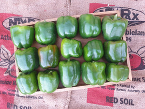 Capsicum/green