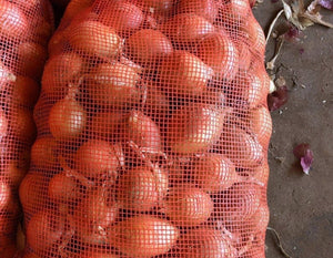 WS Onions/brown (large size)