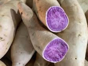 Sweet potatoes/purple- organic