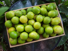 Load image into Gallery viewer, Limes/tahitian
