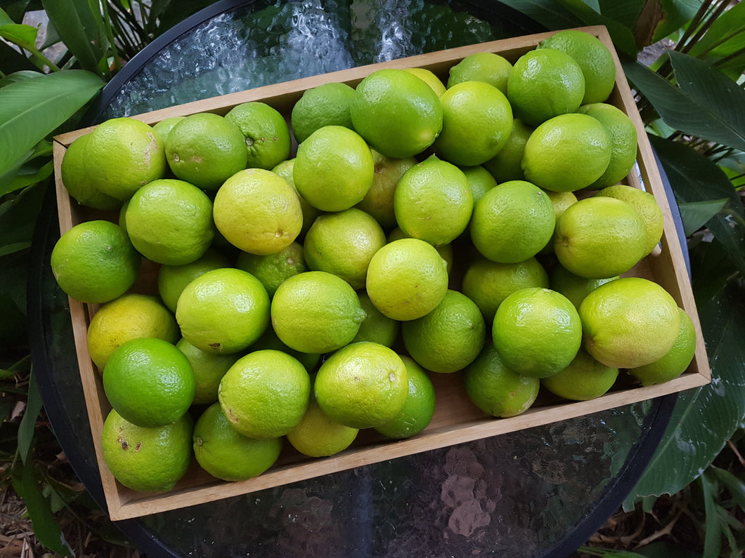 Limes/tahitian