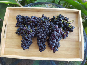 Grapes/black seedless