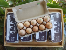 Load image into Gallery viewer, Eggs/free range 10pk
