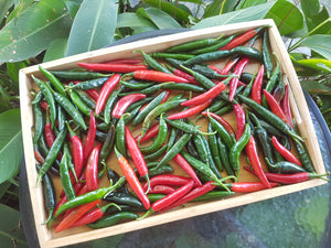 Chillies/red & green mix - spray free