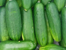 Load image into Gallery viewer, Cucumber/mixed variety - Spray free
