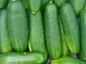 Cucumber/mixed variety - Spray free