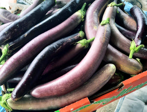 Eggplant - spray free