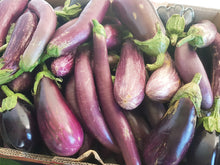 Load image into Gallery viewer, WS Eggplant
