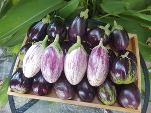 Eggplant - spray free