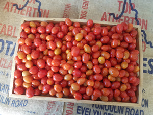 Tomatoes/mixed varieties