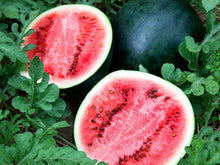 Load image into Gallery viewer, Watermelon/sugar baby - spray free

