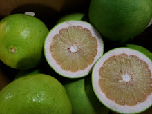 Load image into Gallery viewer, Pomelos/green
