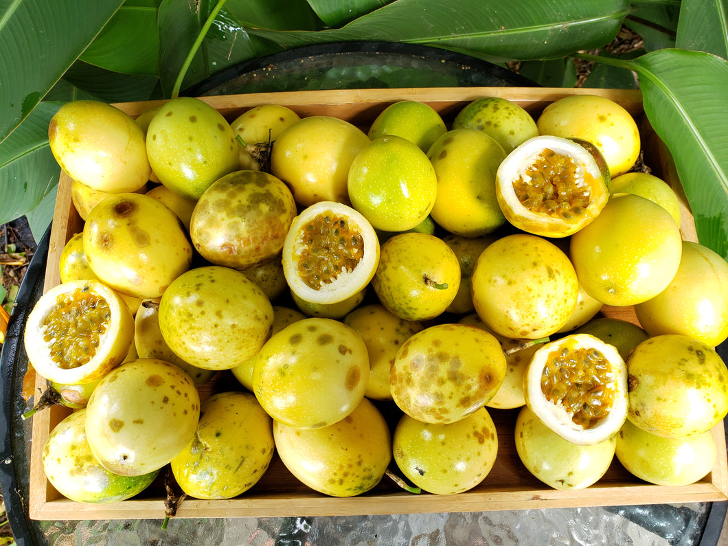 Passionfruit/yellow seconds - spray free