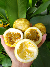 Load image into Gallery viewer, Passionfruit/yellow seconds - spray free
