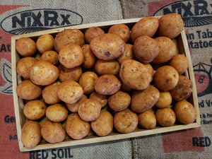 Potato/sebago (CHATS/small) -organic