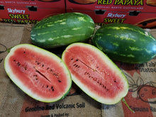 Load image into Gallery viewer, Watermelon/red tiger - seeded
