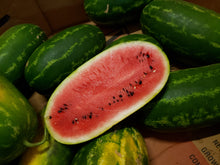 Load image into Gallery viewer, Watermelon/red tiger - seeded
