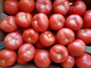 Tomatoes/gourmet