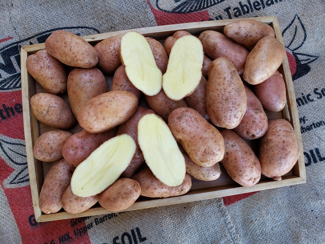 Potatoes/rodeo