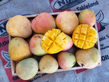 Load image into Gallery viewer, WS Mangoes/R2E2 - Spray free
