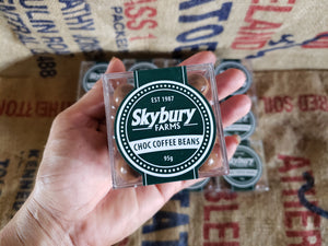 Chocolate coated coffee beans/Skybury 95g