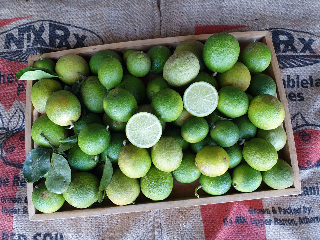Limes/tahitian - spray free
