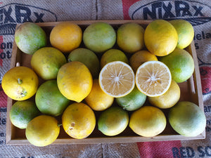 Lemons/meyer - spray free