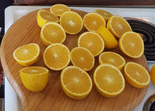 Load image into Gallery viewer, WS Oranges - spray free

