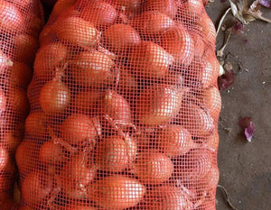 WS Onions/brown (small size)